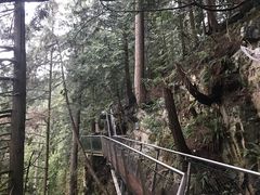 -悬崖栈道