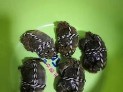 -七的湖·晚芳亭·阳澄湖农家菜·大闸蟹(莲花岛店)