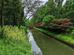 -东平国家森林公园