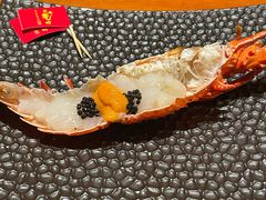 -月龍吟(朝龙汇店)