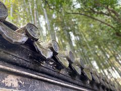 -汇龙潭