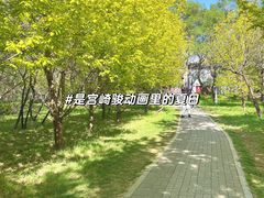-北陵公园