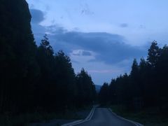 -重庆睡佛山森林公园