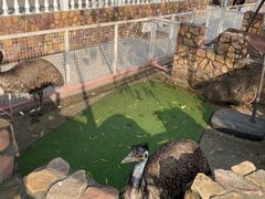 -金庭庄园酒店-停车场