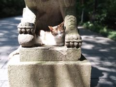 -琅琊山景区