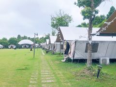 -上海海湾国家森林公园