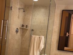 -拉斯维加斯永利酒店