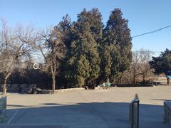 -阳台山自然风景区