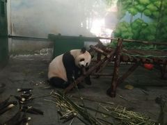 -无锡动物园·太湖欢乐园