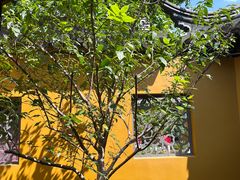 -圆通寺
