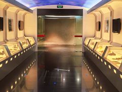 -上海动漫博物馆