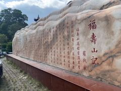 -长寿村