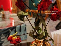 -MIO弥欧洋房西餐厅(中央大街店)