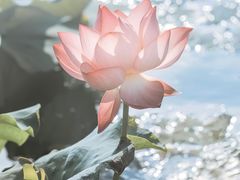 -千忆汤包(闽江路店)