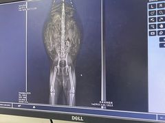 -安安宠医·安宠宠物医院