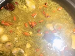 -蘑统田下·野生菌火锅