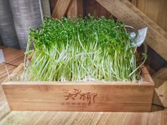 -大头椰·椰子鸡火锅(南宁万象城店)