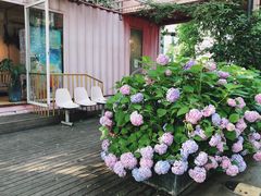 -灯塔咖啡馆BOOK·Coffee Shop