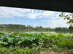 -翠湖国家城市湿地公园
