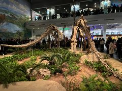 -自贡恐龙博物馆