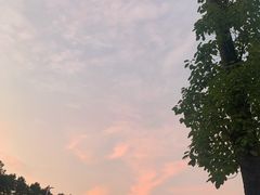 -慕咖啡(宽窄巷子店)