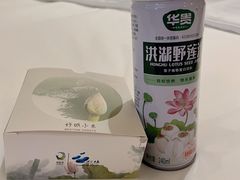 -洪湖悦兮半岛国际温泉度假村