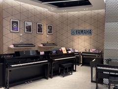 -知音艺术教育培训·钢琴培训·音乐培训(河西金鹰世界校区)