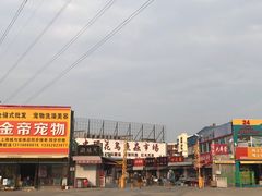 -中环花鸟鱼虫市场
