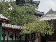 -宫事颐庭·老佛爷贵寿下午茶(颐和园店)