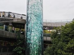 -福道