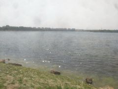 -丁香湖公园