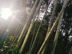 -杭州黄龙洞