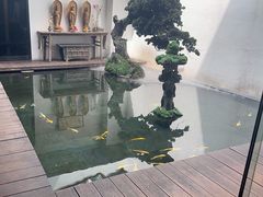-觀芷隐轩