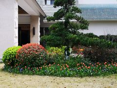 -杭州花家山庄