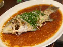 青衣鱼（斤）-海逸海鲜酒家(古北店)