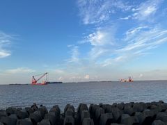 -上海滨江森林公园