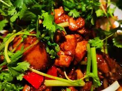 -领鲜天下·焗海鲜·花胶鸡(天目里店)