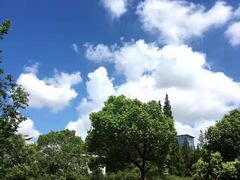 -同济大学四平路校区游泳馆