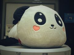 -熊猫邮局(少城店)