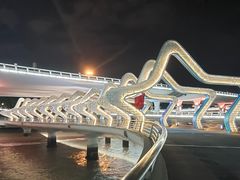 -演武大桥观景平台