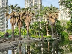 -苏州河梦清园环保主题公园