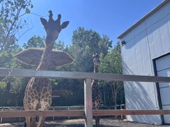 -水上乐园·欢乐世界