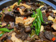 五花肉炖野生苁菌-芷兰台·新中式餐厅(秀英店)