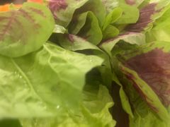 -菌乡缘·野生菌蒸汽鱼火锅(江边夜市店)
