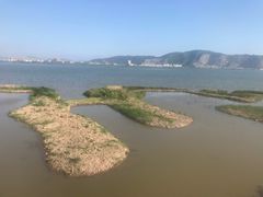 -漩门湾国家湿地公园