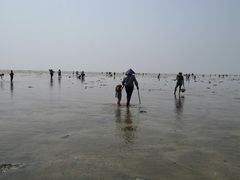 -红树林天天赶海
