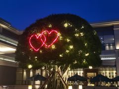 -成都安仁福朋喜来登酒店