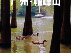 -广州市帽峰山景区