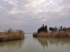 -滆湖低碳生态公园