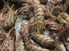 -胶东海鲜大排档(北太平庄店)